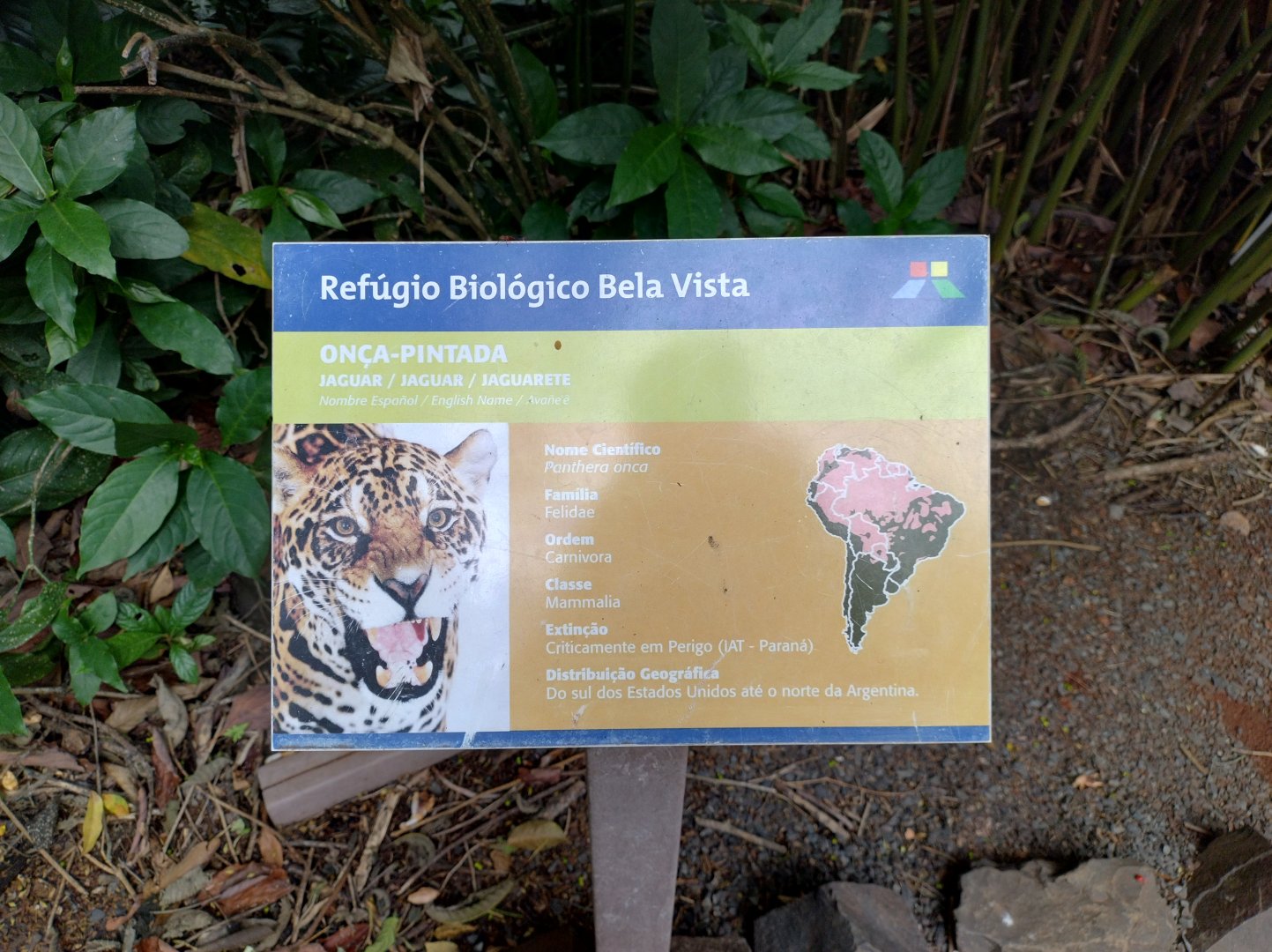 Sign example - RBBV (ZRRL)