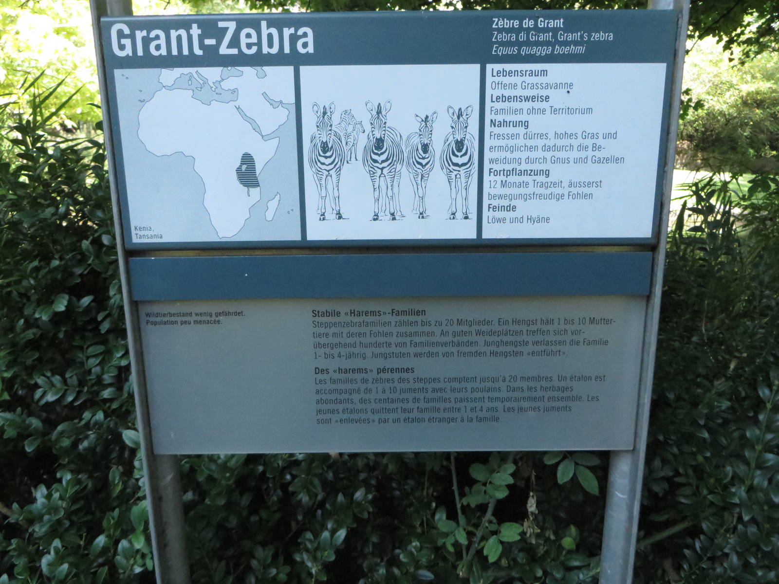 Sign example