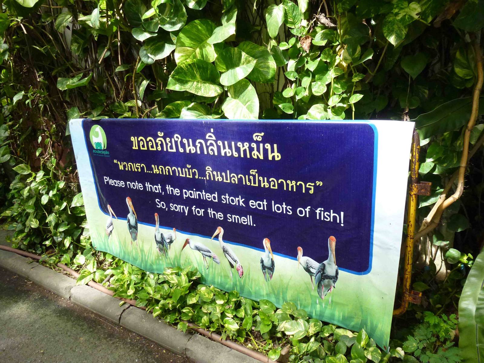 Sign - excuse the smell, July 2013.