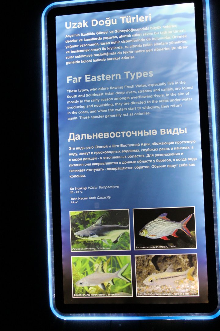 Sign "Far East" aquarium