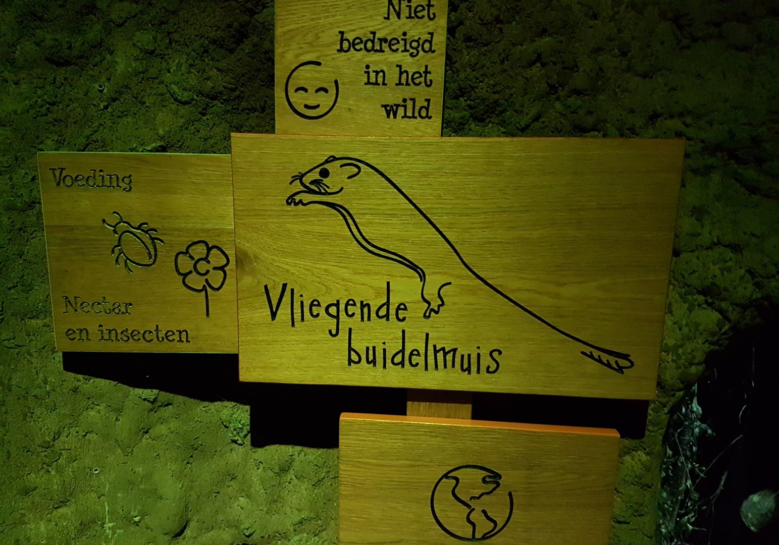 Sign Feathertail glider