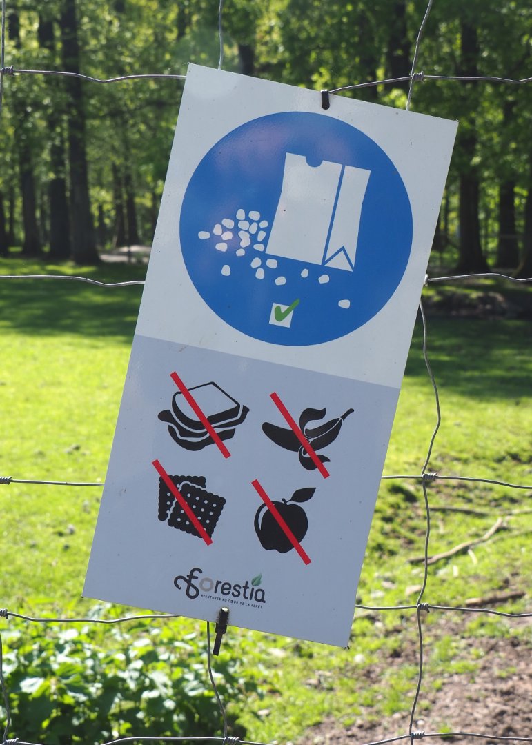 Sign feeding allowed, but with feed provided by Forestia only, 2021-05-29