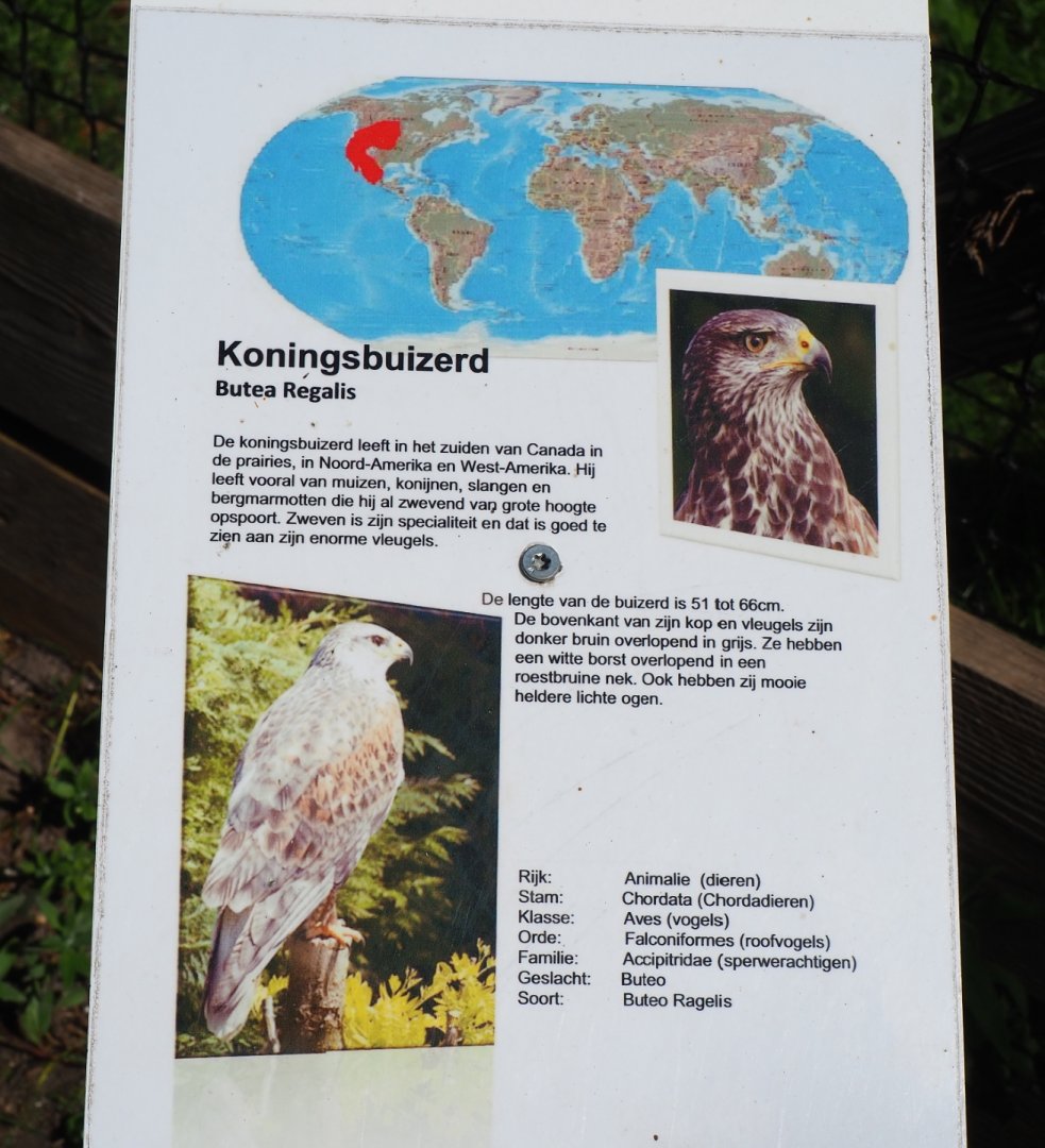 Sign Ferruginous hawk, 2019-06-01