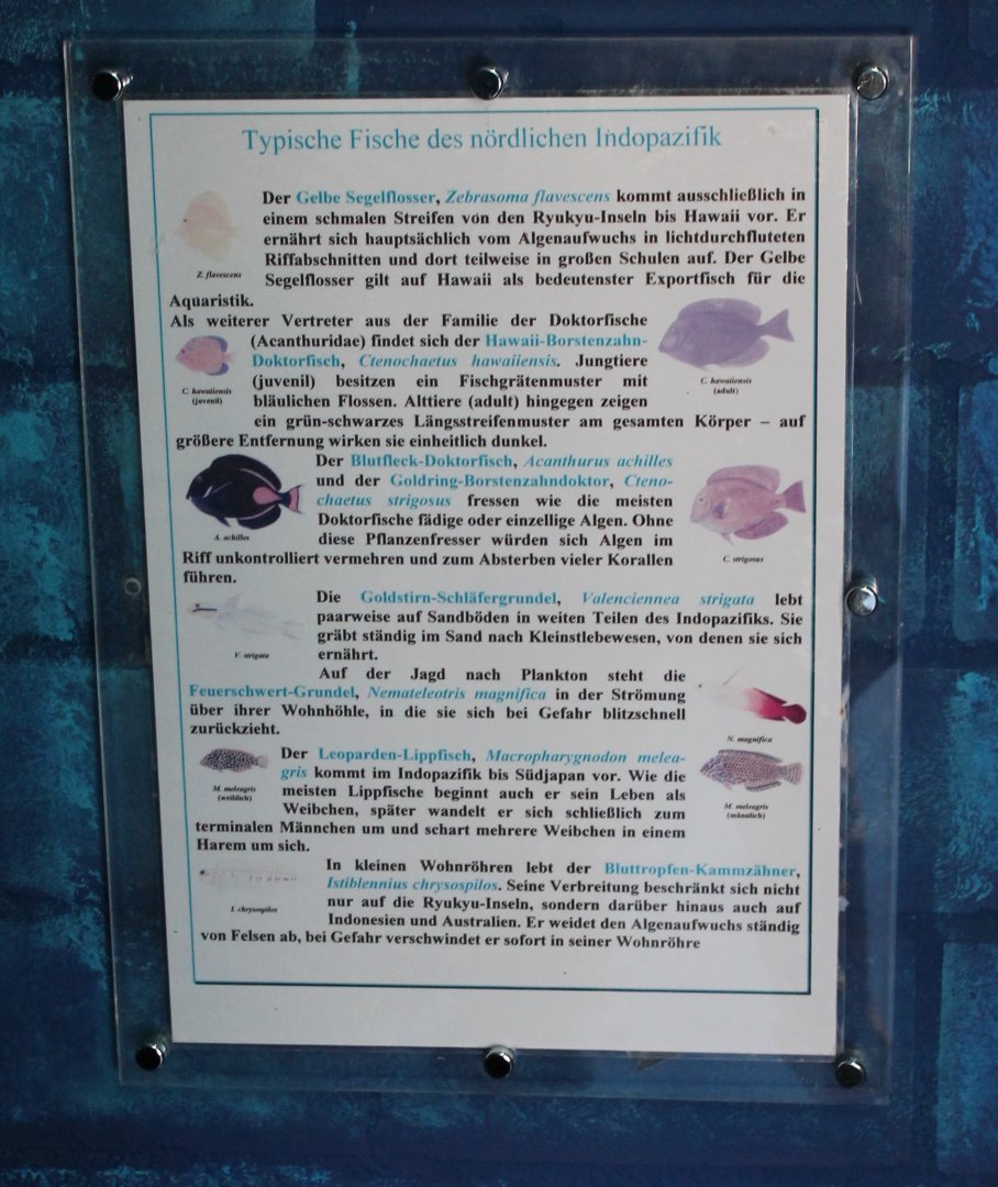 Sign Fishes of the Indo-pacific