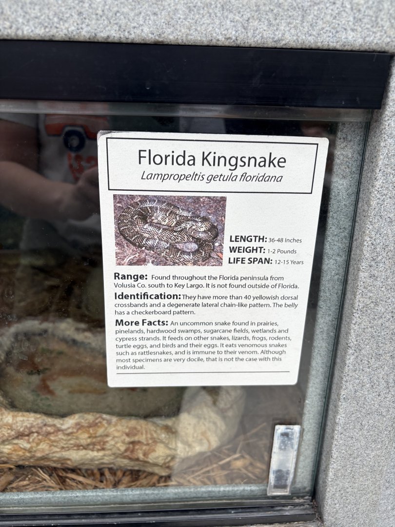Sign - Florida Kingsnake