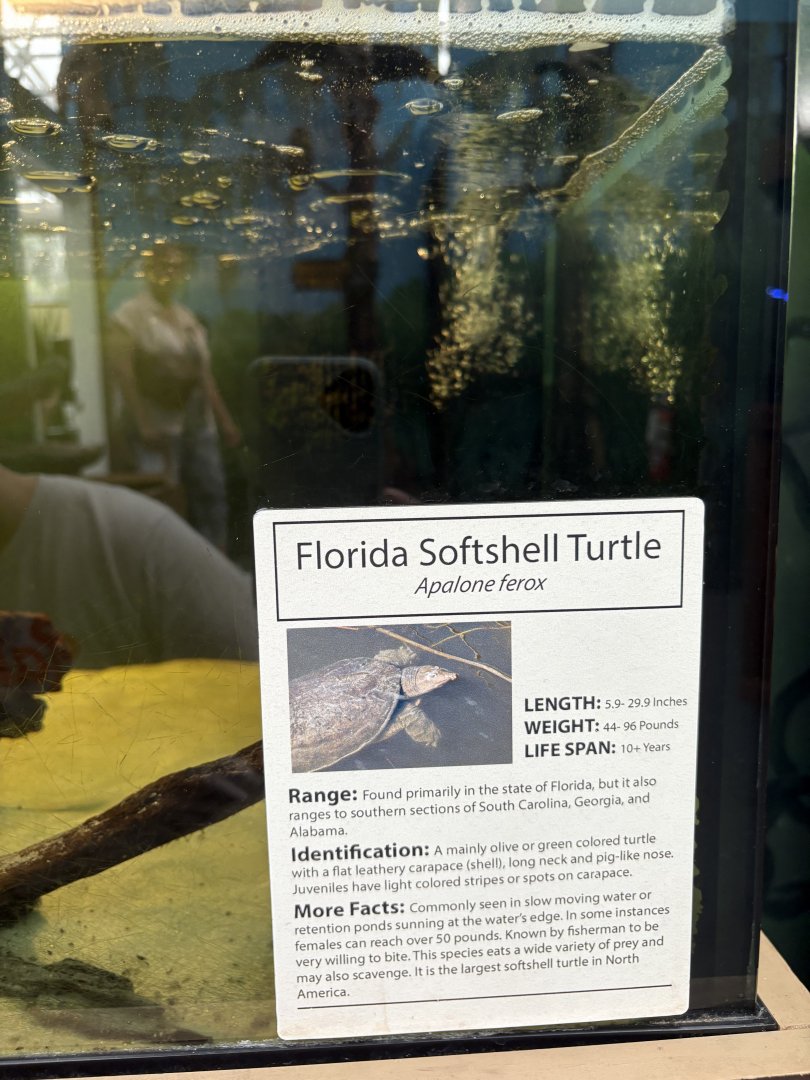 Sign - Florida Softshell Turtle