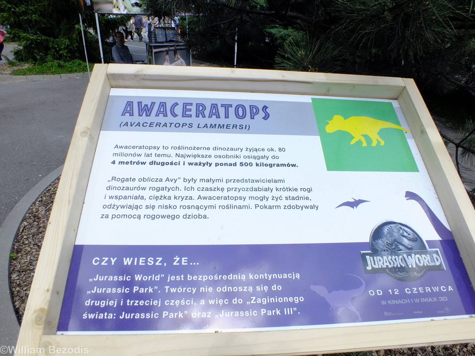 Sign for a Dinosaur Model