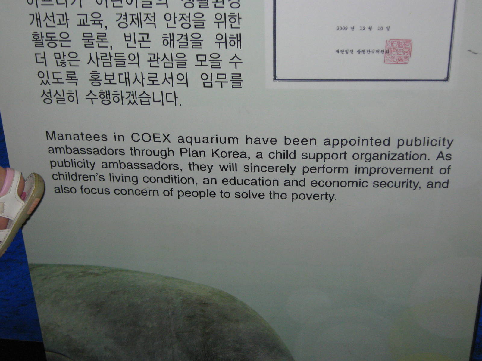 sign for African manatee (Trichechus senegalensis)