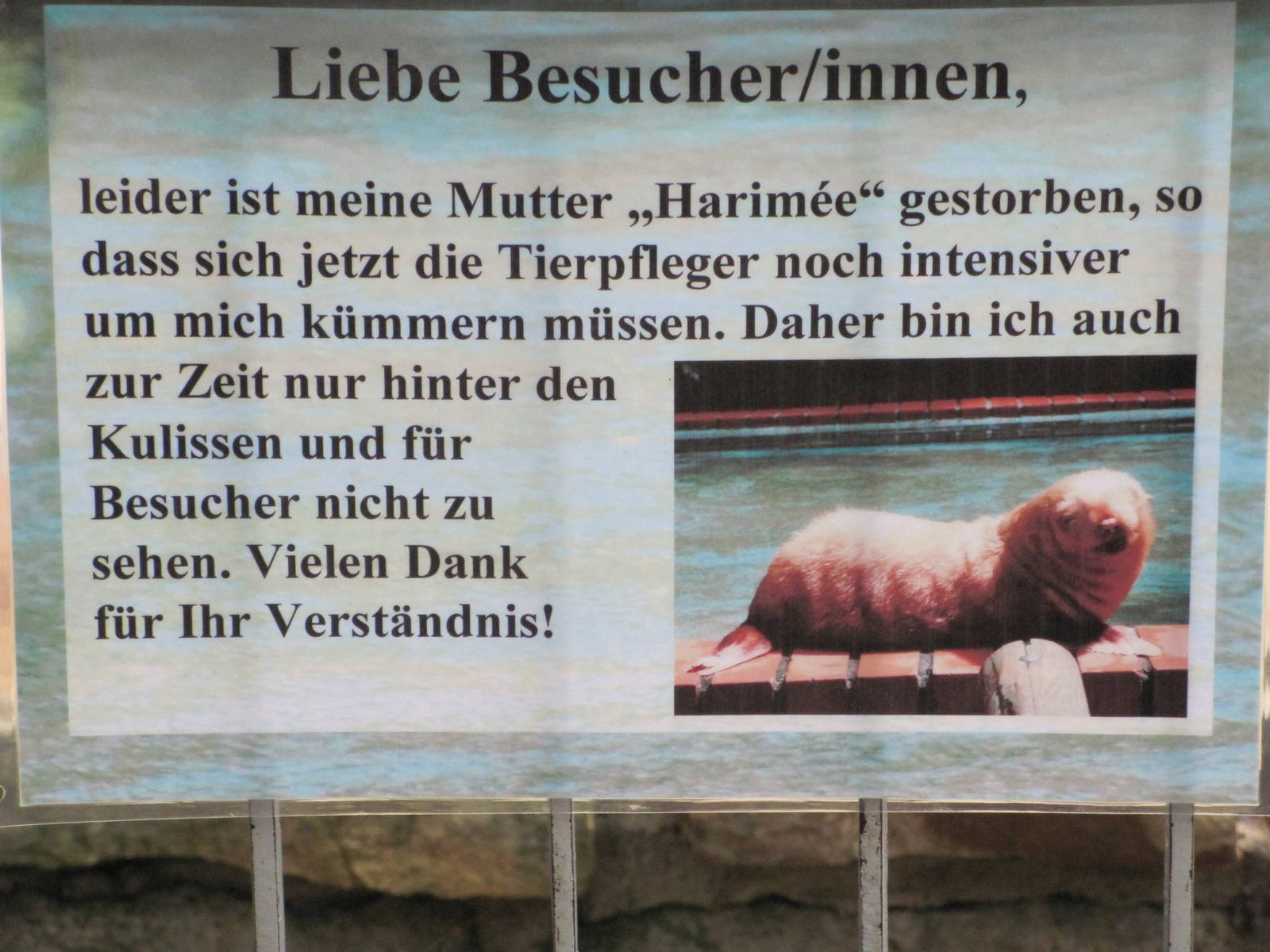 Sign for albino fur seal