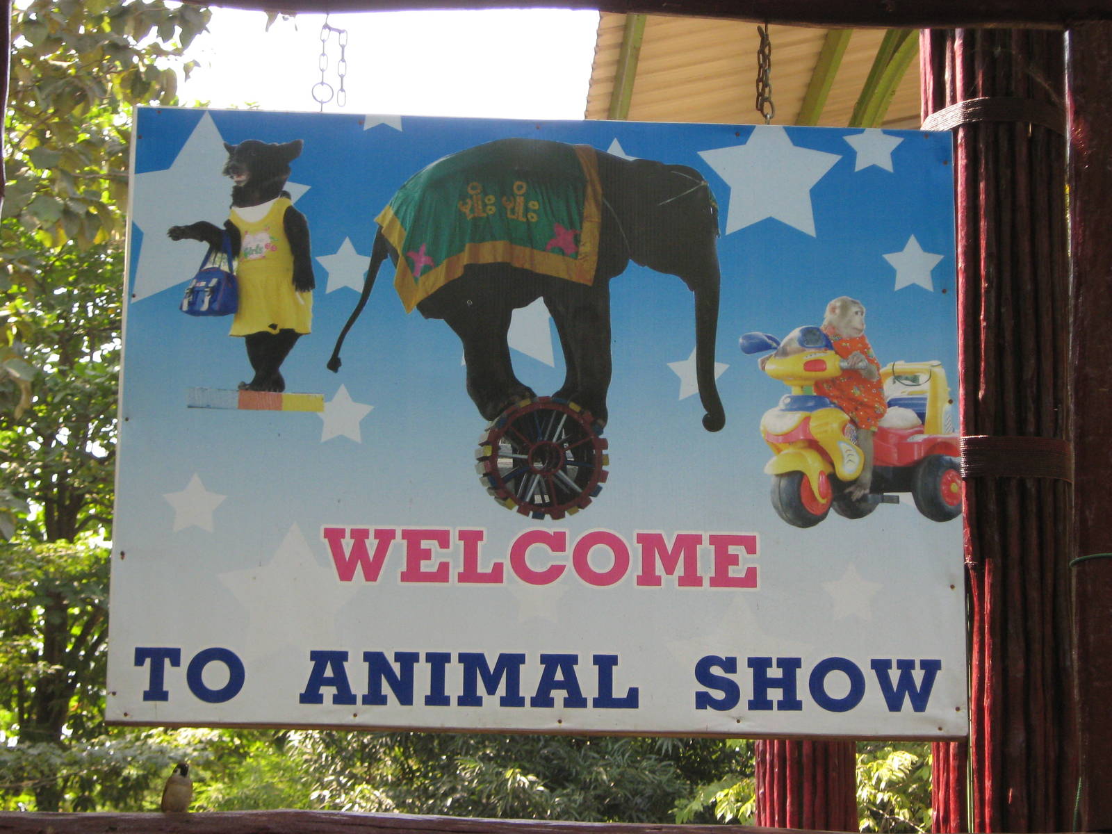 sign for animal show