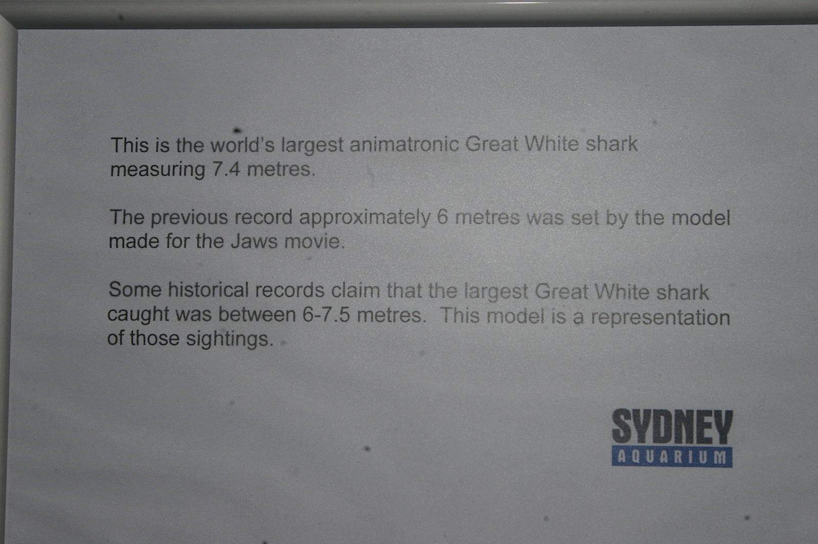 sign for animatronic great white shark