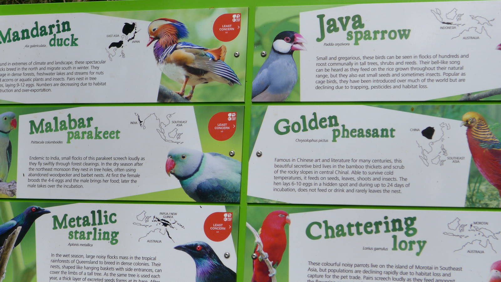 Sign for Asian Birds