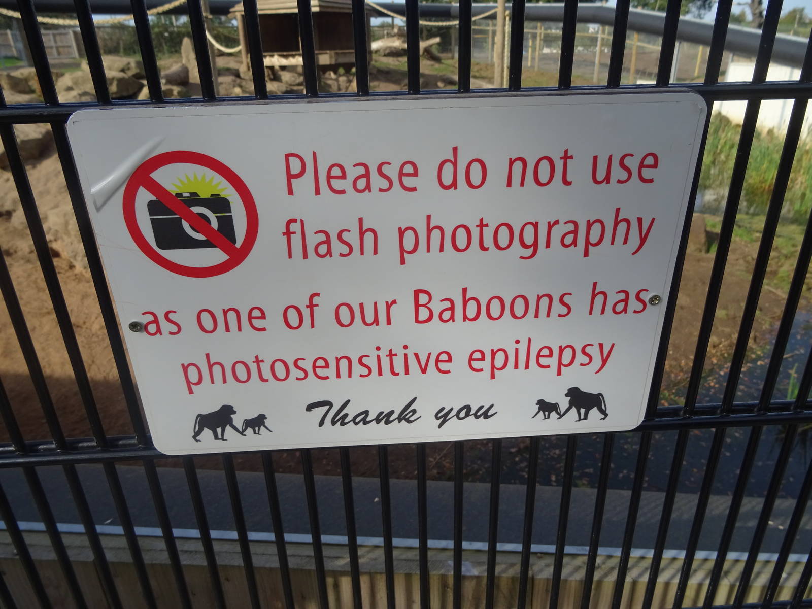 Sign for Baboon With Photosensitive Epilepsy at Yorkshire Wildlife Park