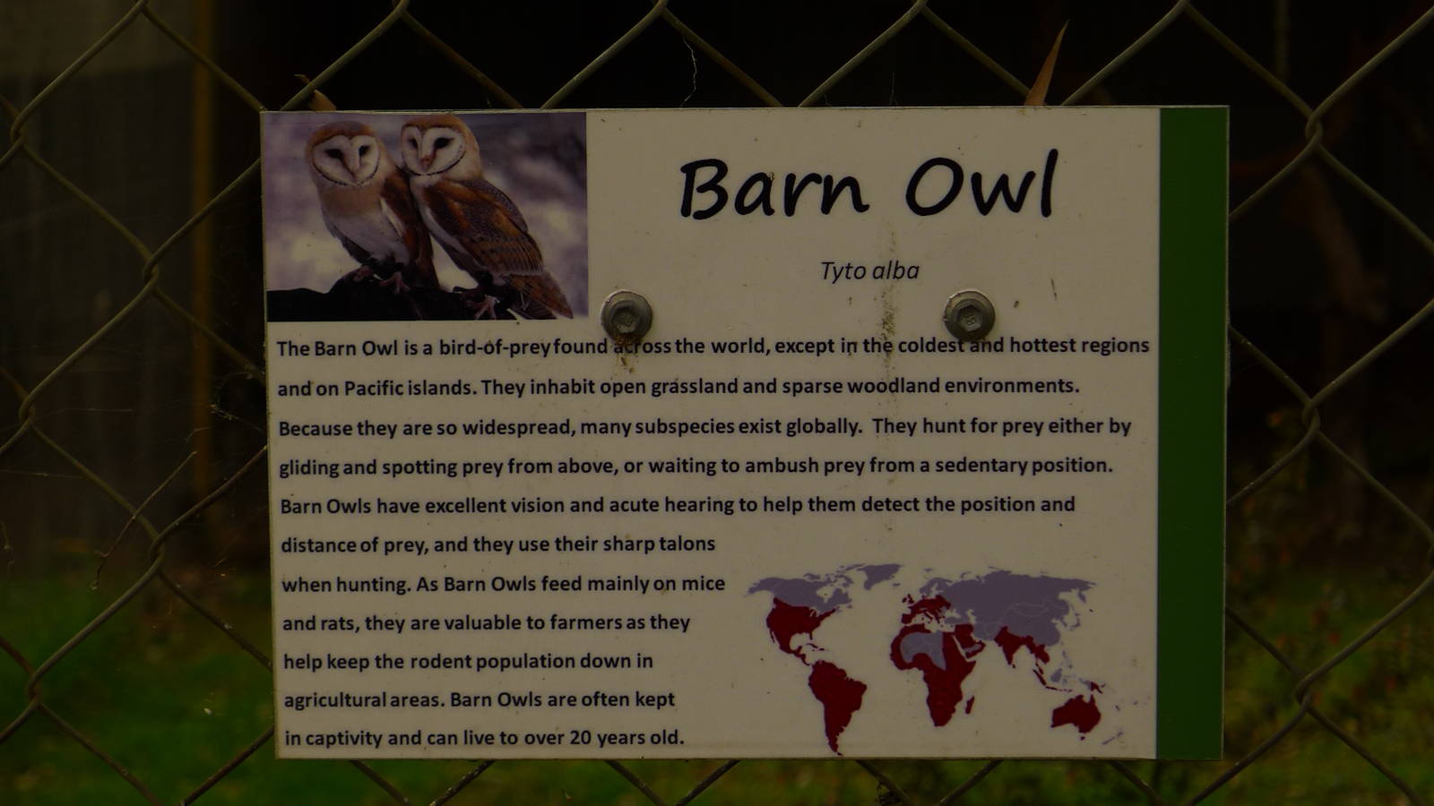 Sign for Barn Owl