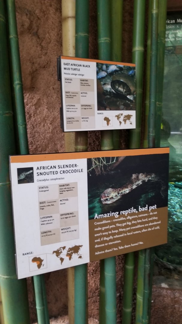 Sign for croc and turtles