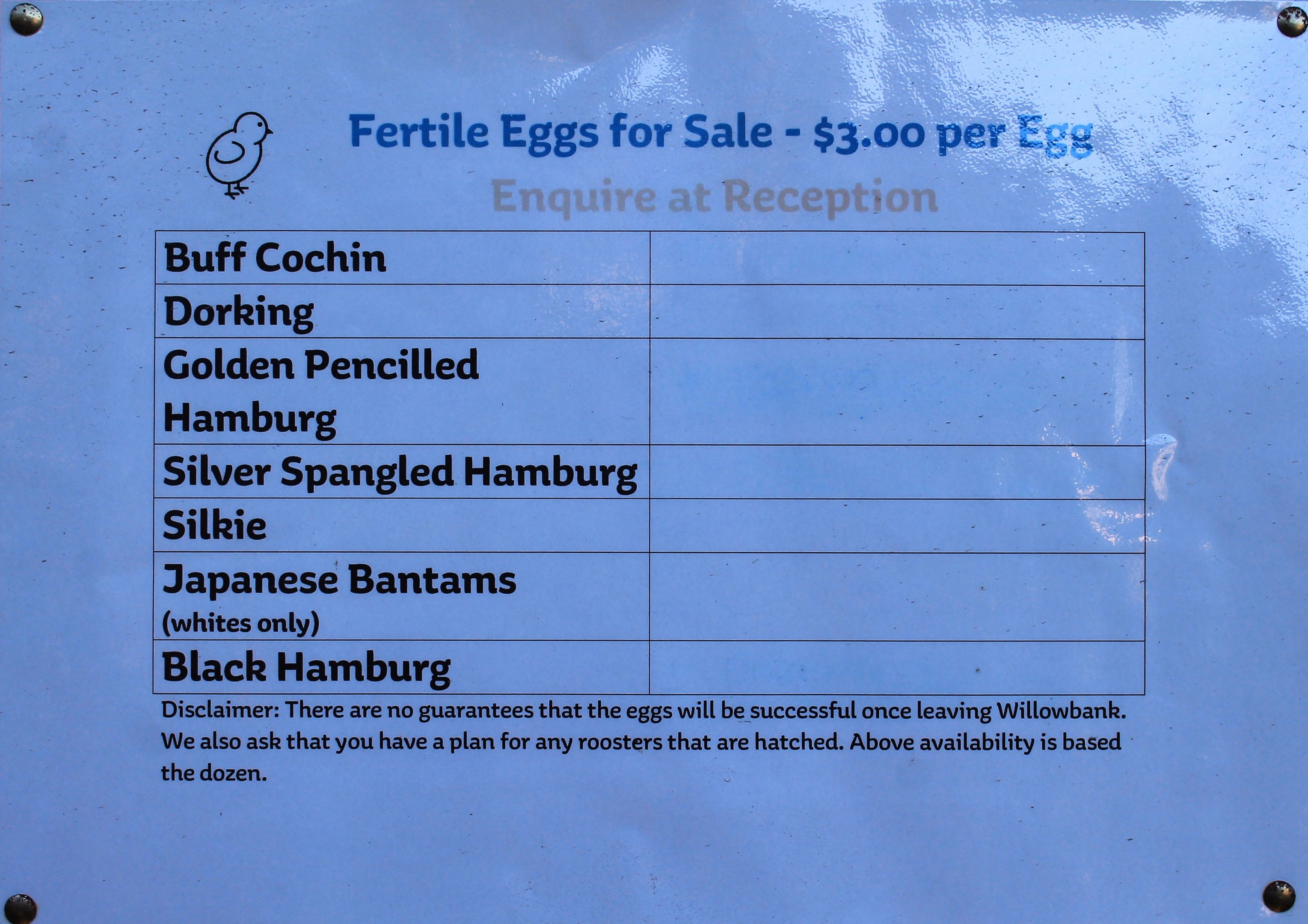 sign for fertile eggs for sale
