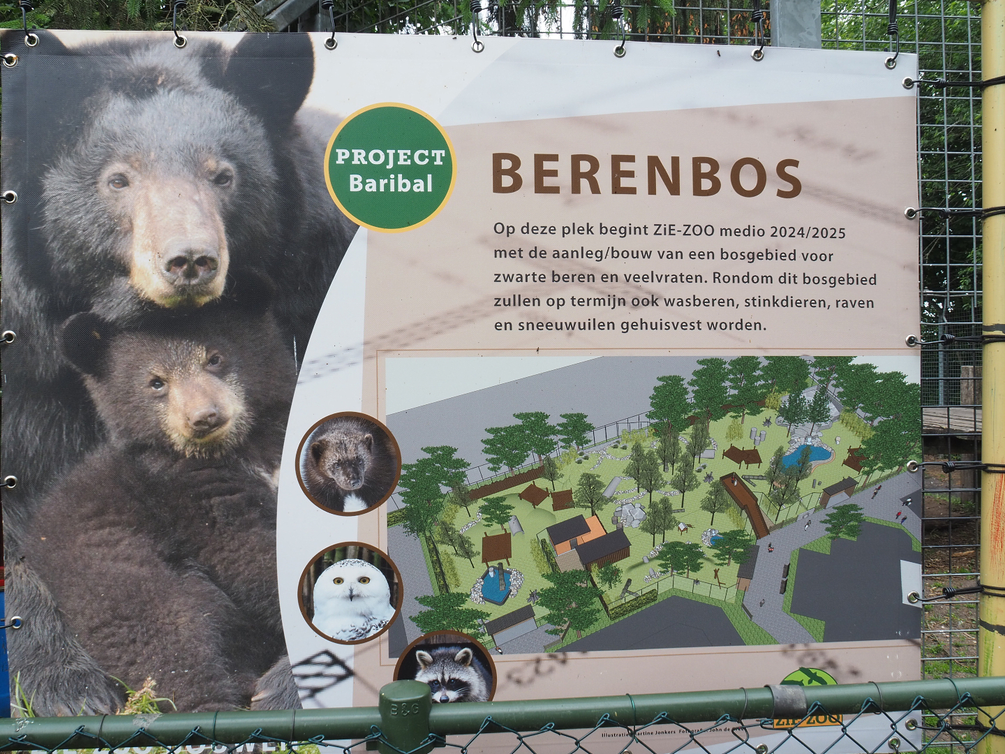 Sign for future project - American black bear and wolverine forest, 2022-05-17