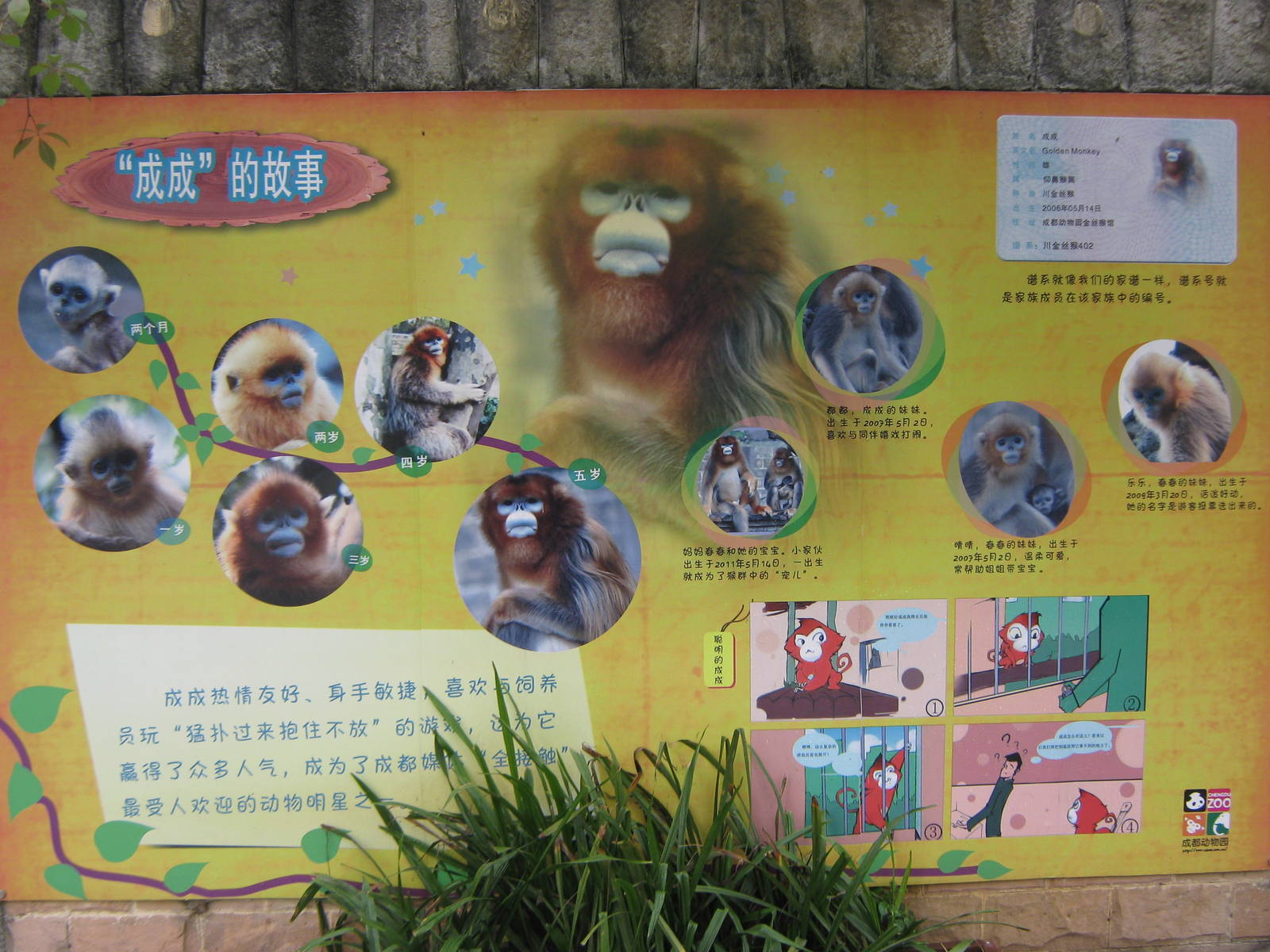 sign for golden snub-nosed monkey