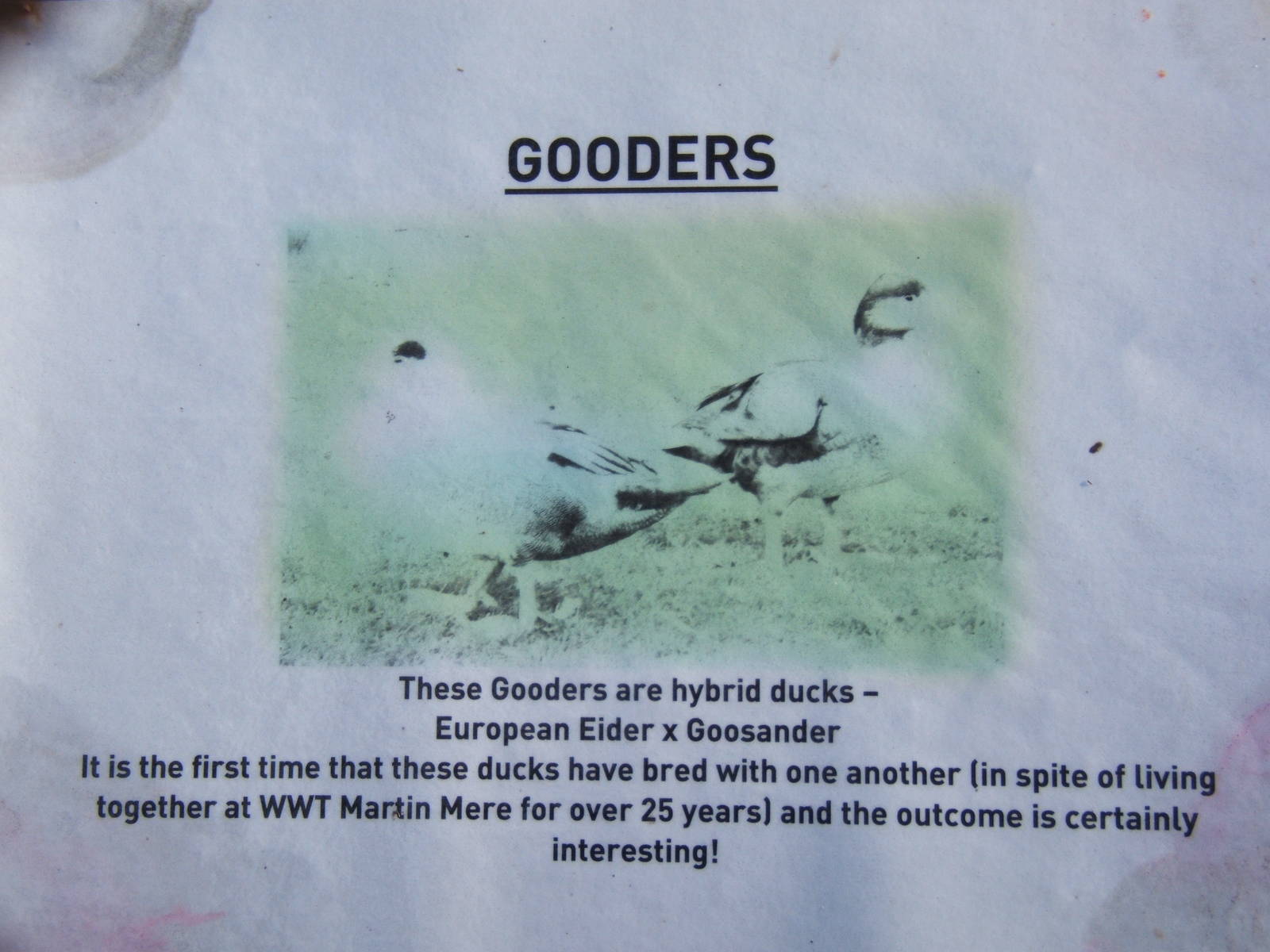 Sign for Gooders