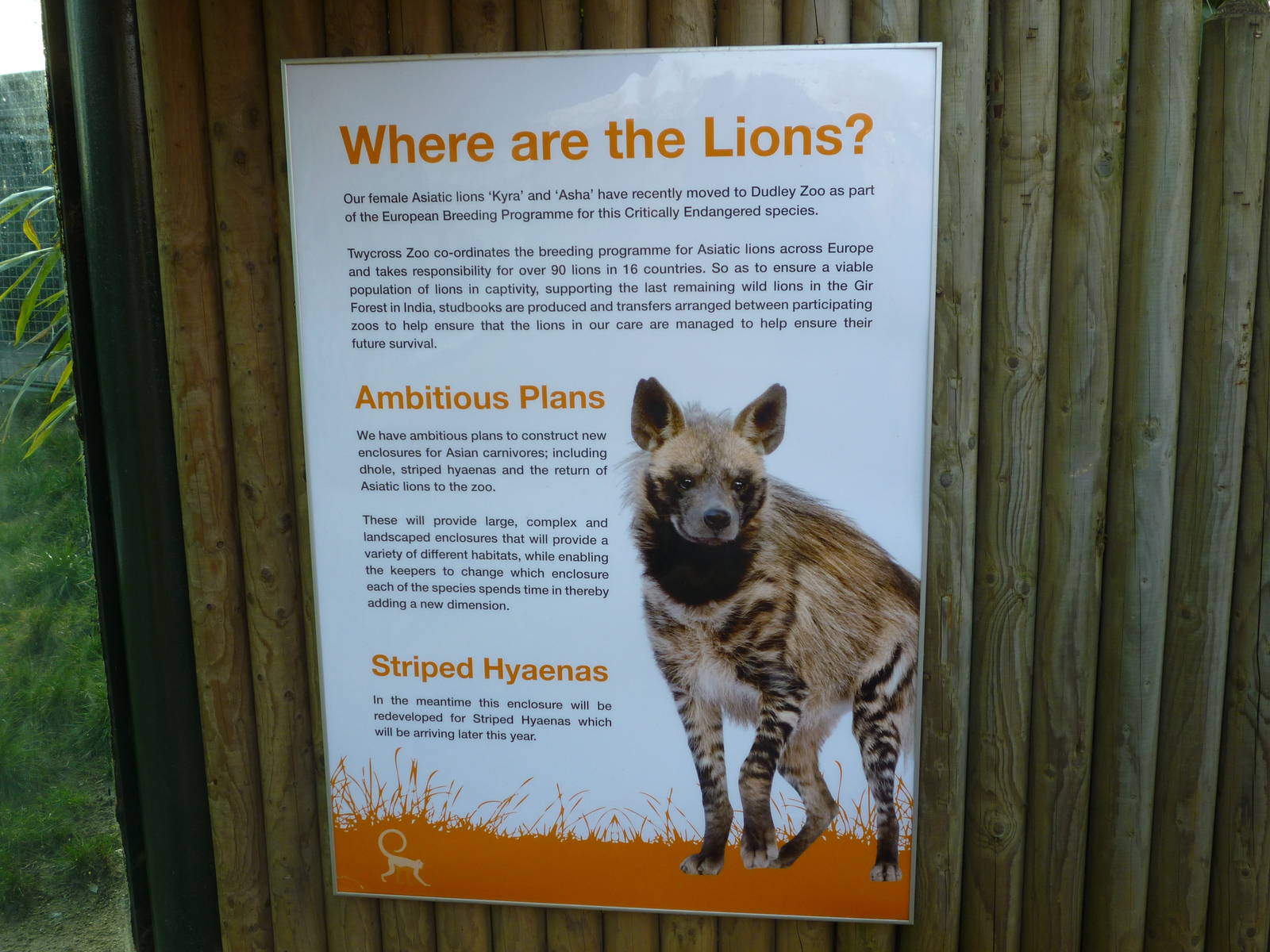 Sign for Hyena arrival!