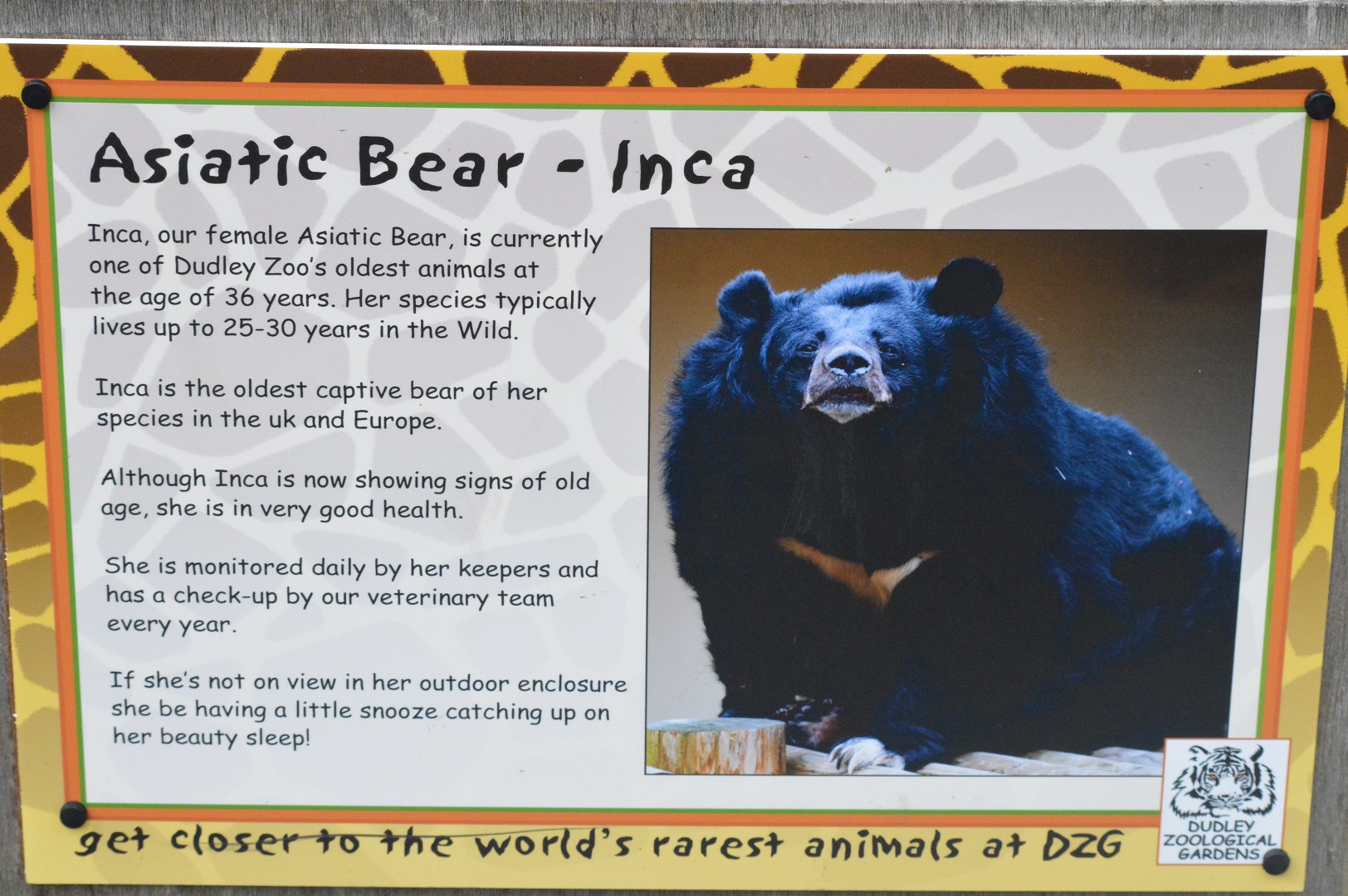 Sign for Inca (Asiatic black bear)