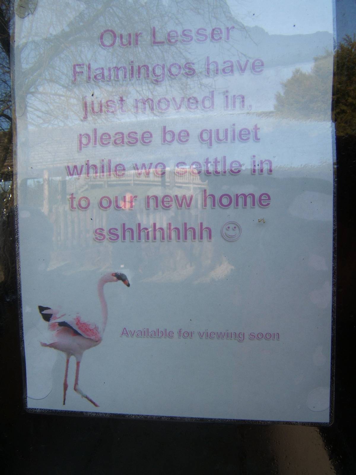 Sign for Lesser Flamingo`s