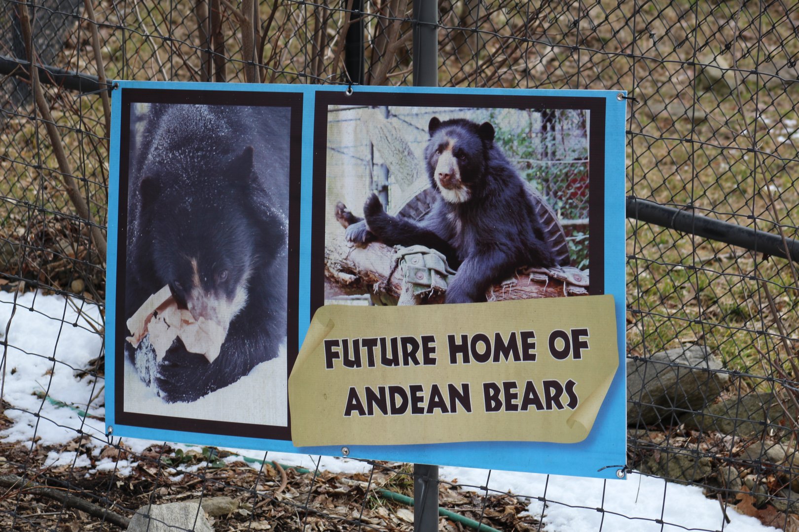 Sign for New Bear Exhibit