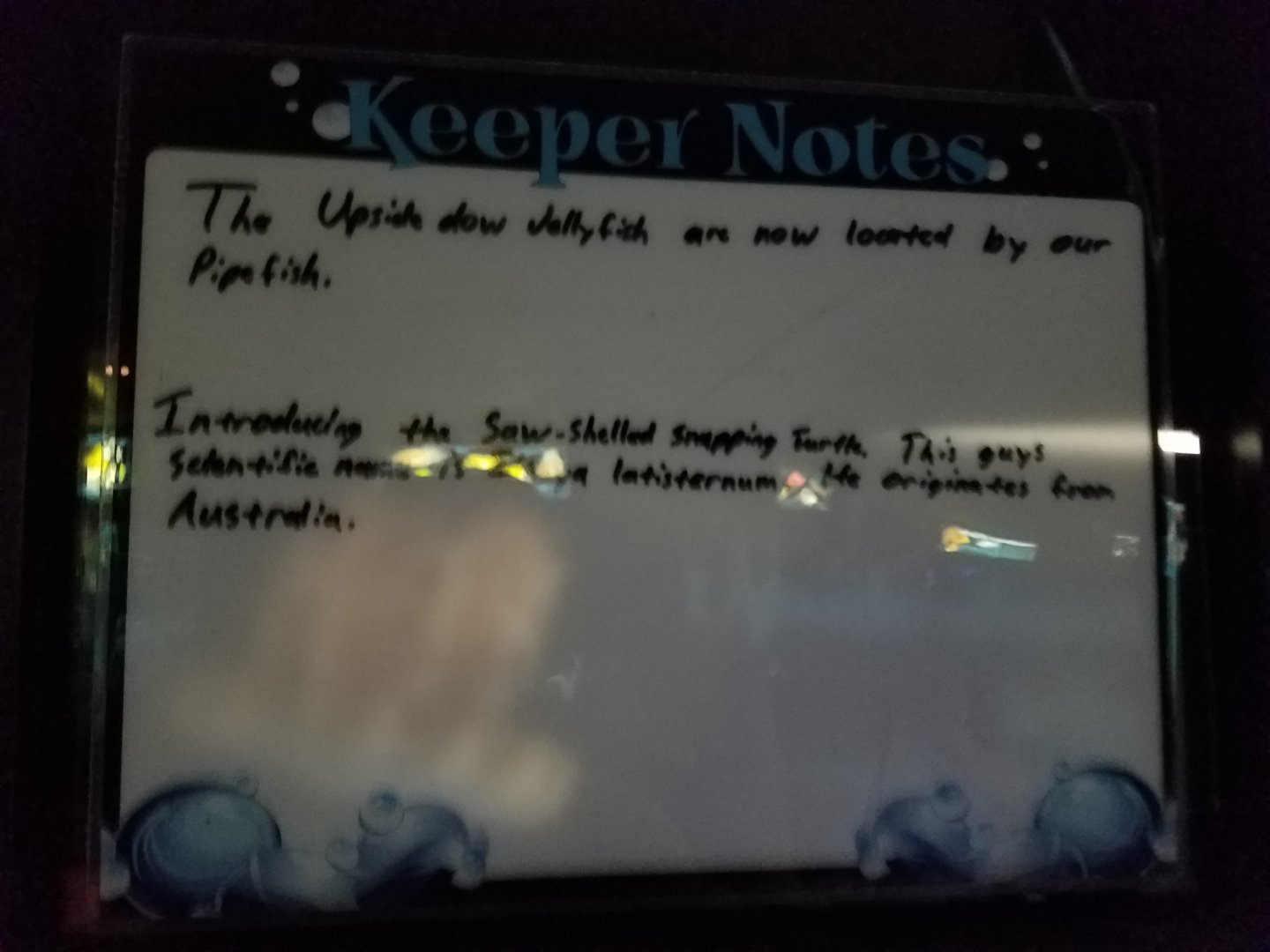 Sign for New Saw Shelled Snapping Turtle Exhibit