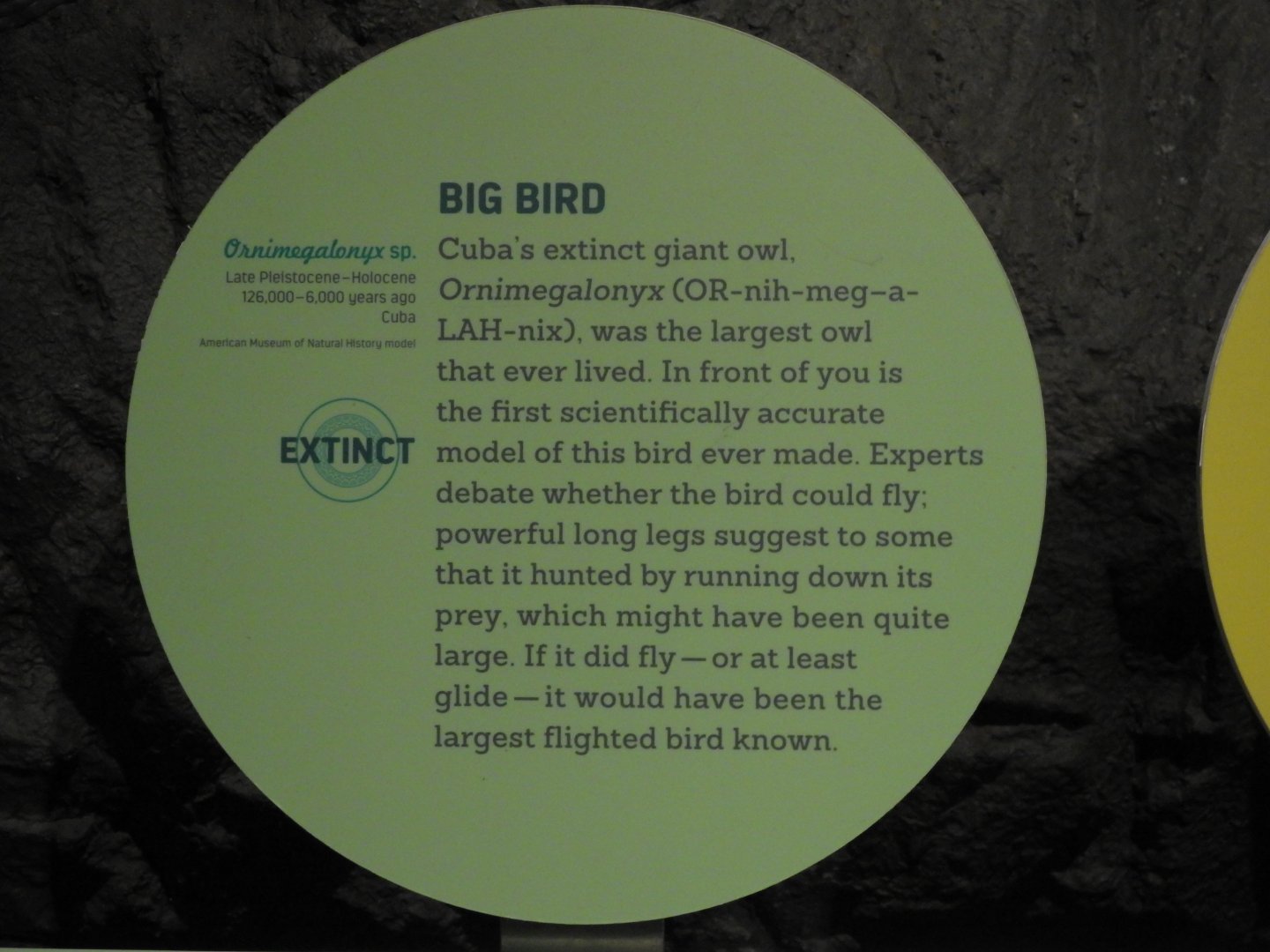 Sign for Ornimegalonyx