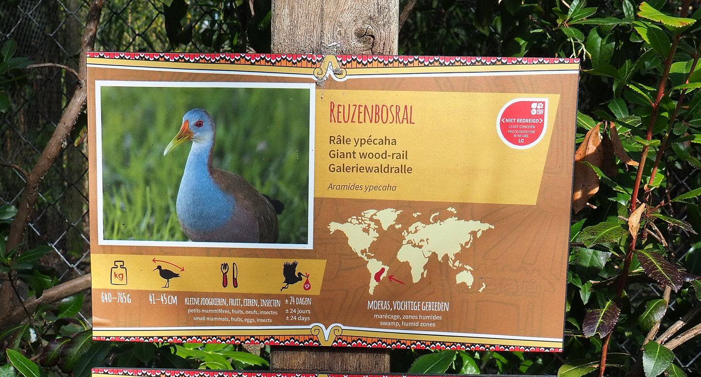 Sign for recently added species Giant wood rail, 2022-04-12