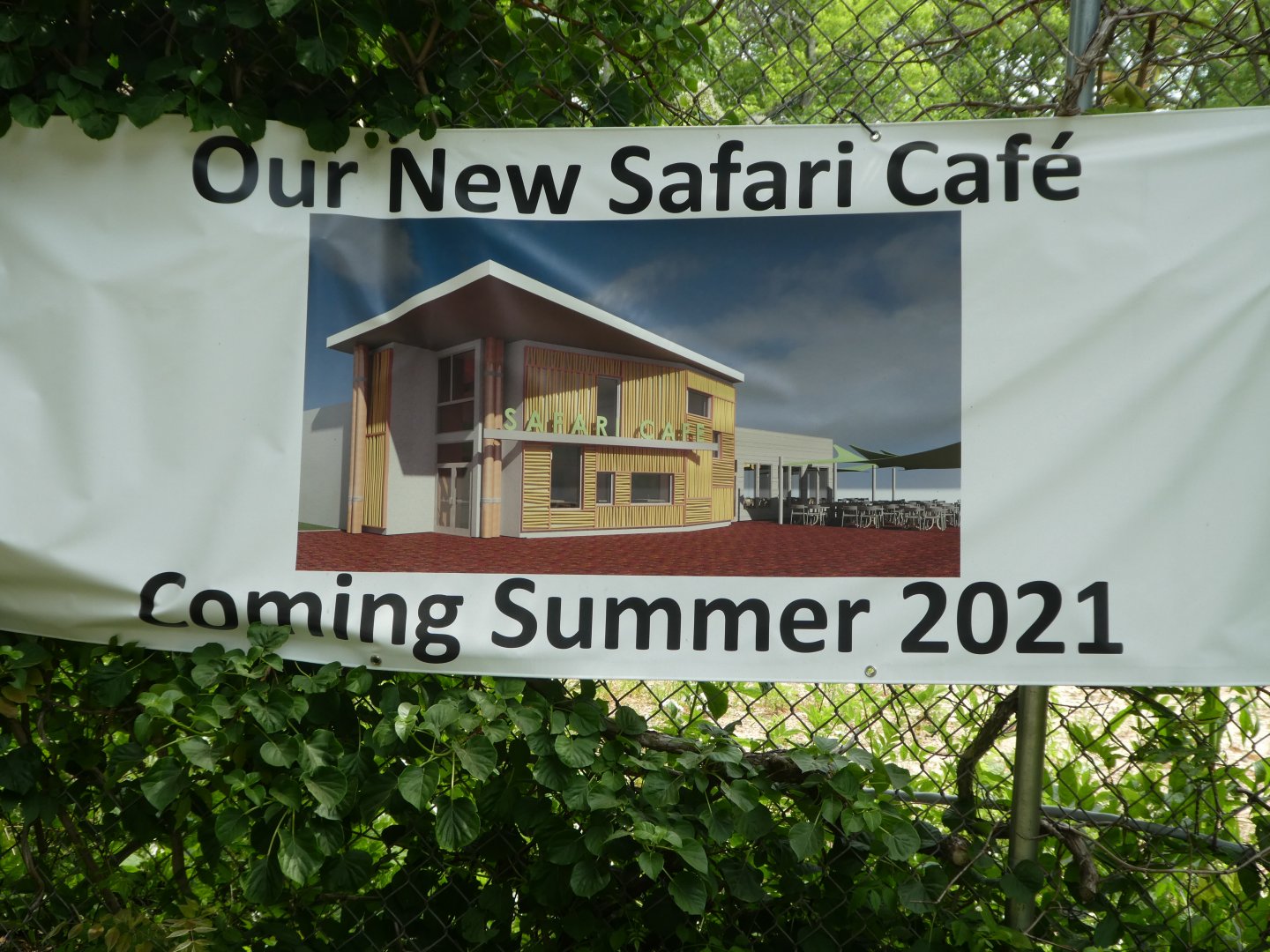 Sign for Safari Cafe
