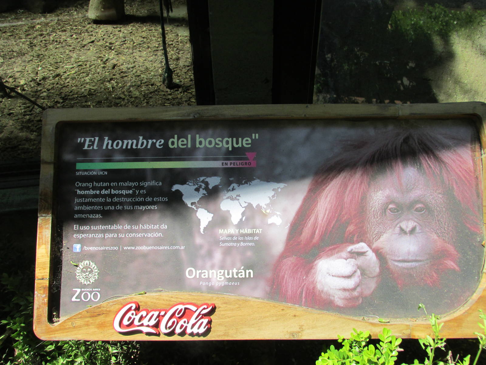 sign for Sandra a non human person with a habeas corpus who is also an oran