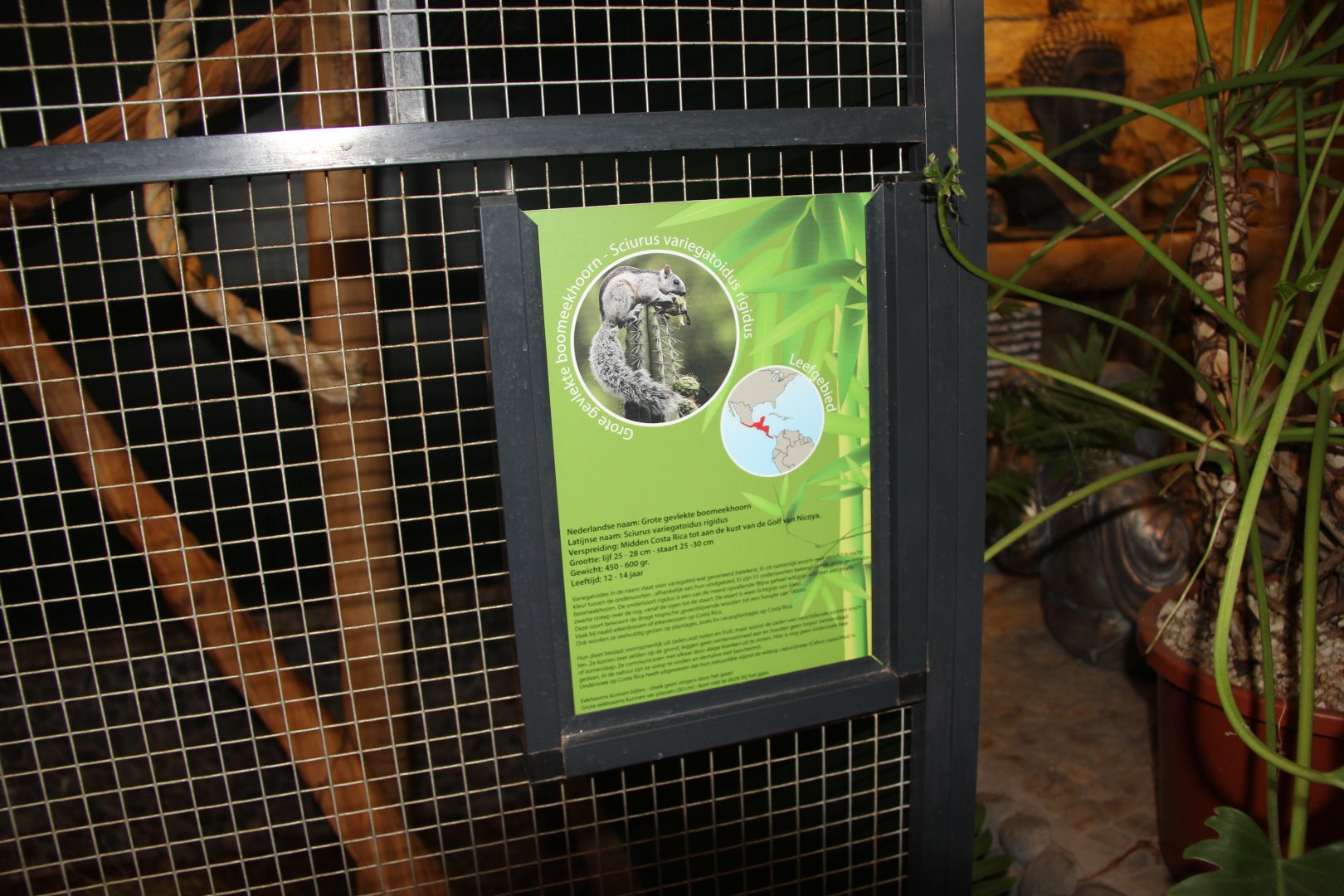 Sign for Sciurus variegatoides rigidus (animals not seen)