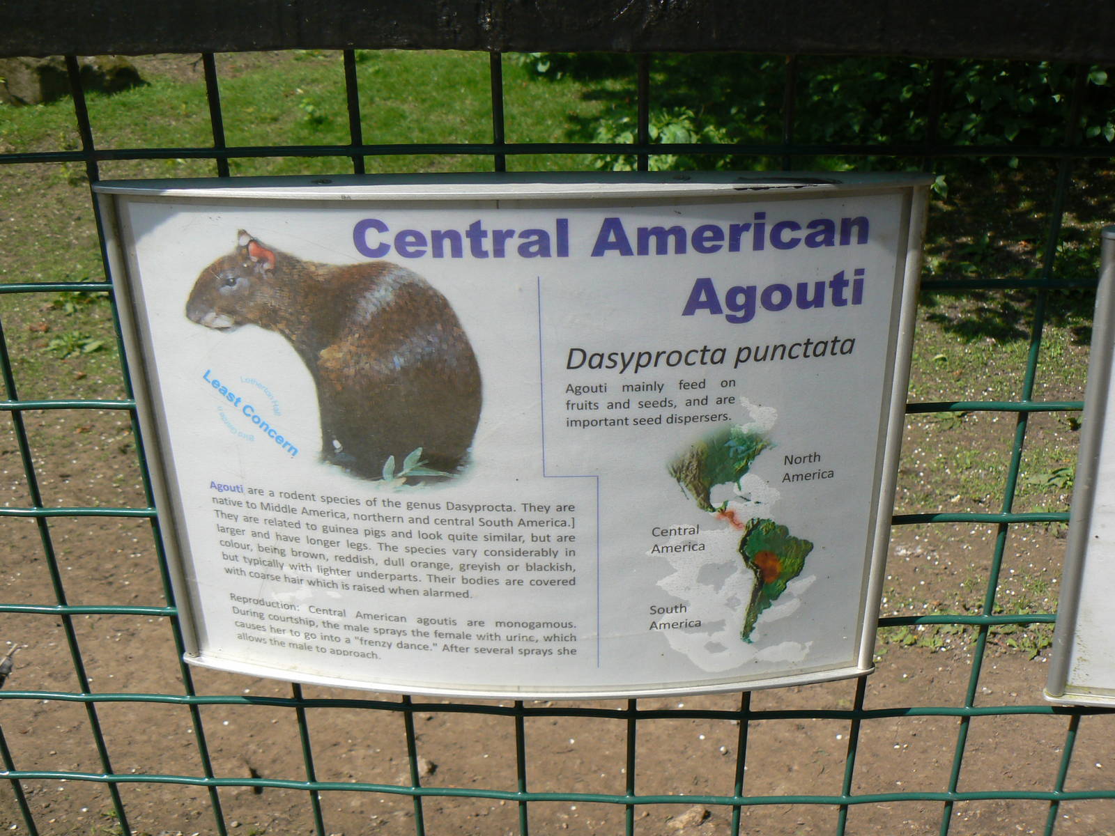 Sign for Some Fairly New Arrivals - 5 June 2016