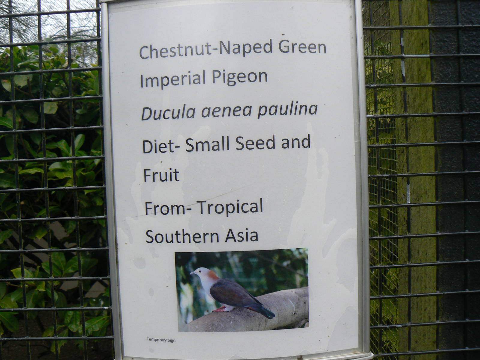 Sign for some New Arrivals - 19 February 2016