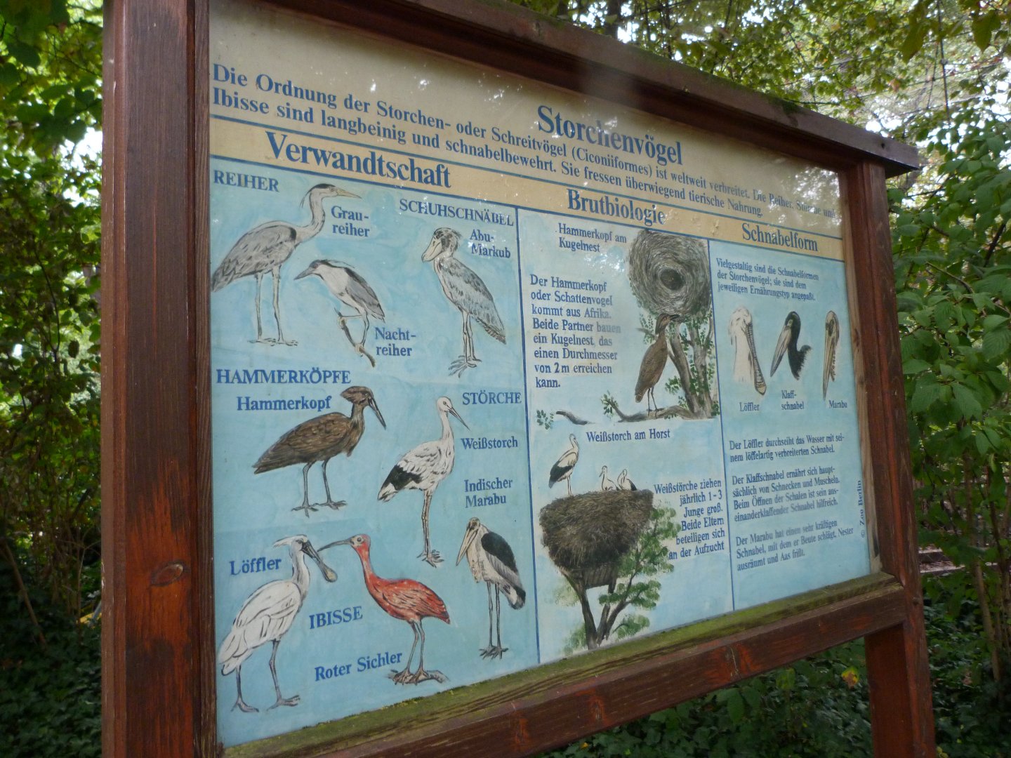 Sign for storks, ibises, spoonbills,... -Zoologischer Garten Berlin (2024)