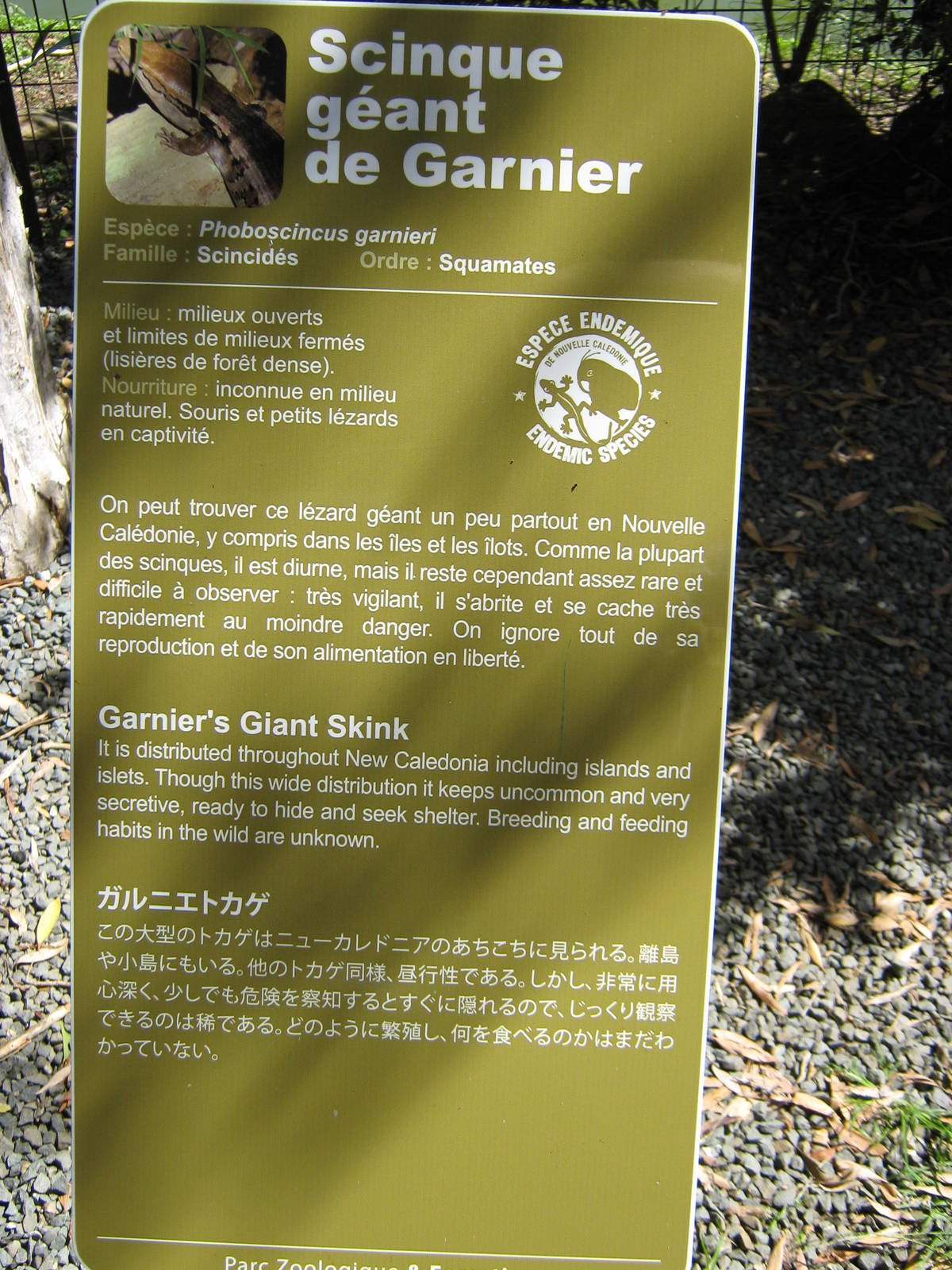 sign for the giant skink (Phoboscincus garnieri)
