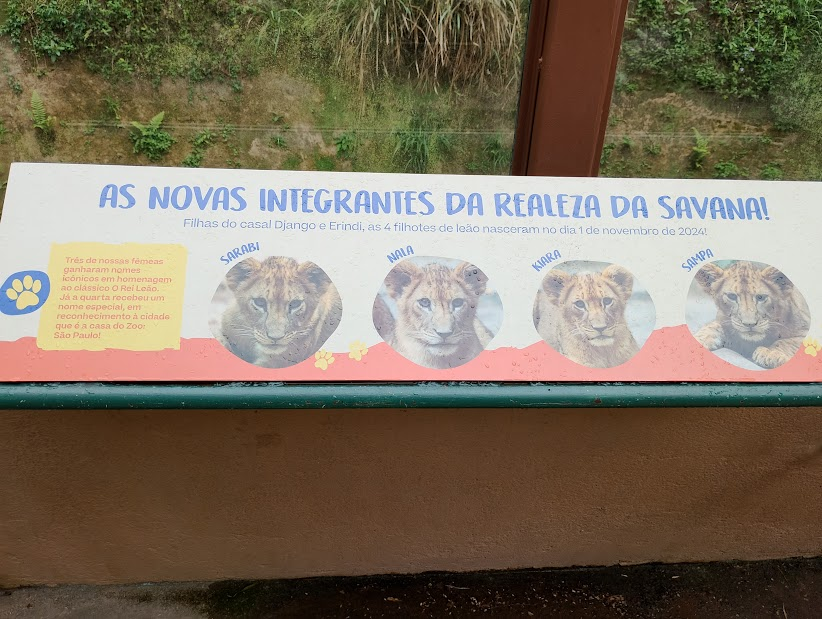 Sign for the young lioness