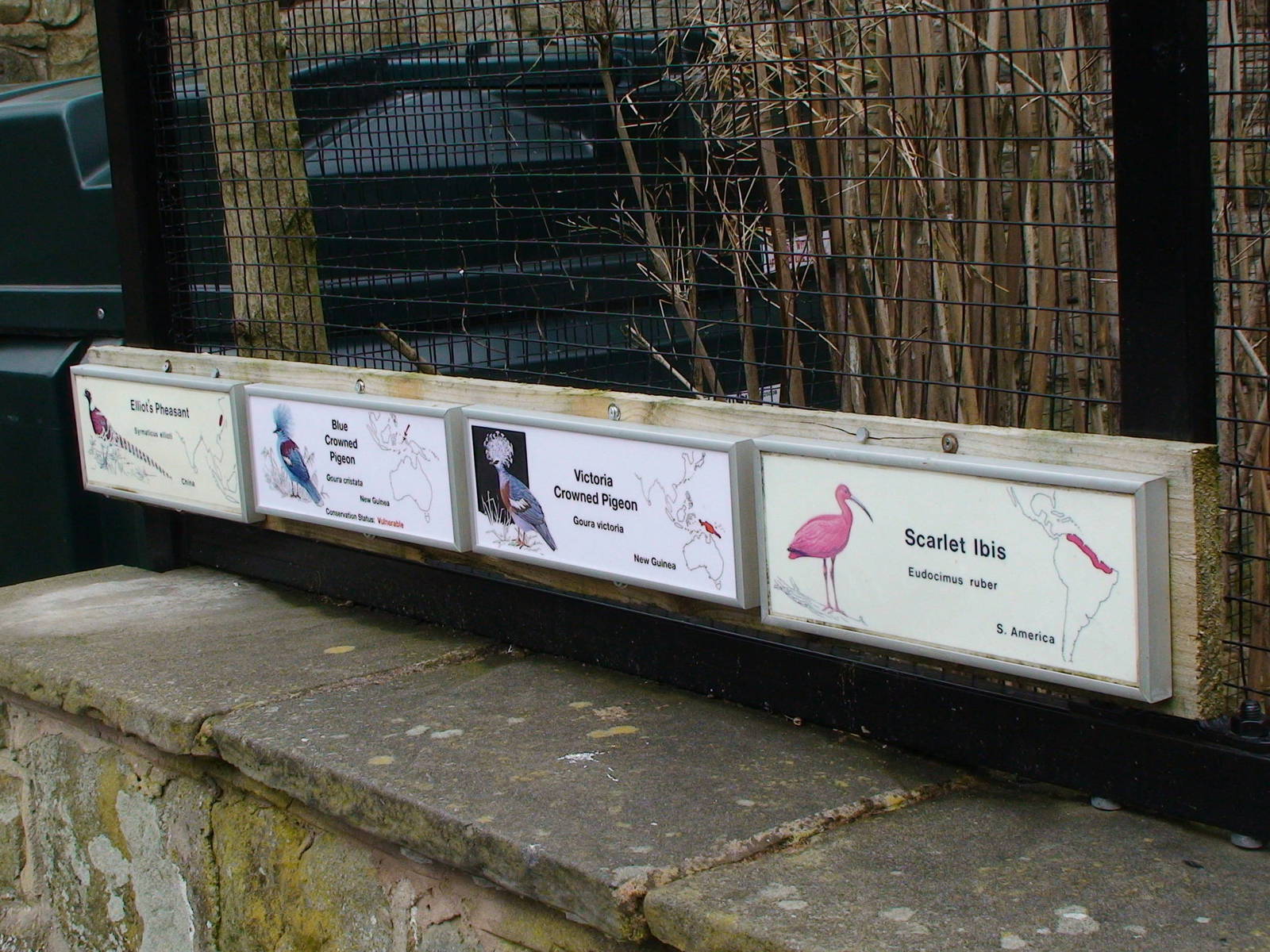 Sign for unusual mixed aviary