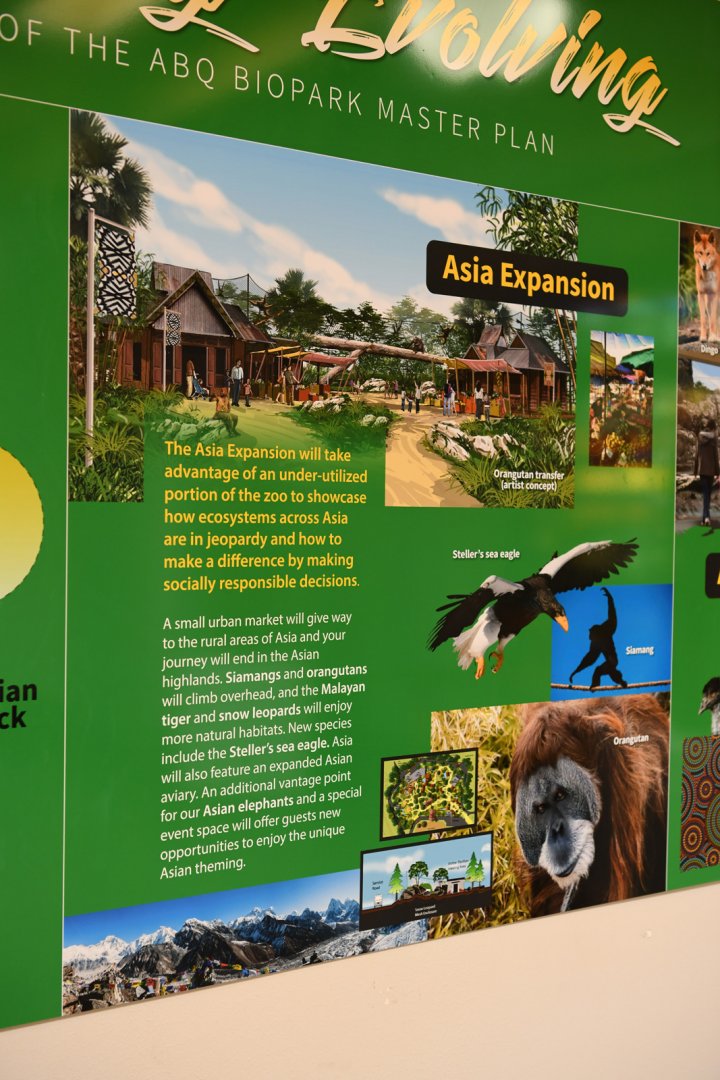 sign for upcoming Asia expansion