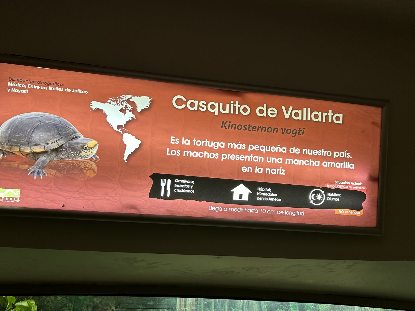 Sign for Vallarta mud Turtle