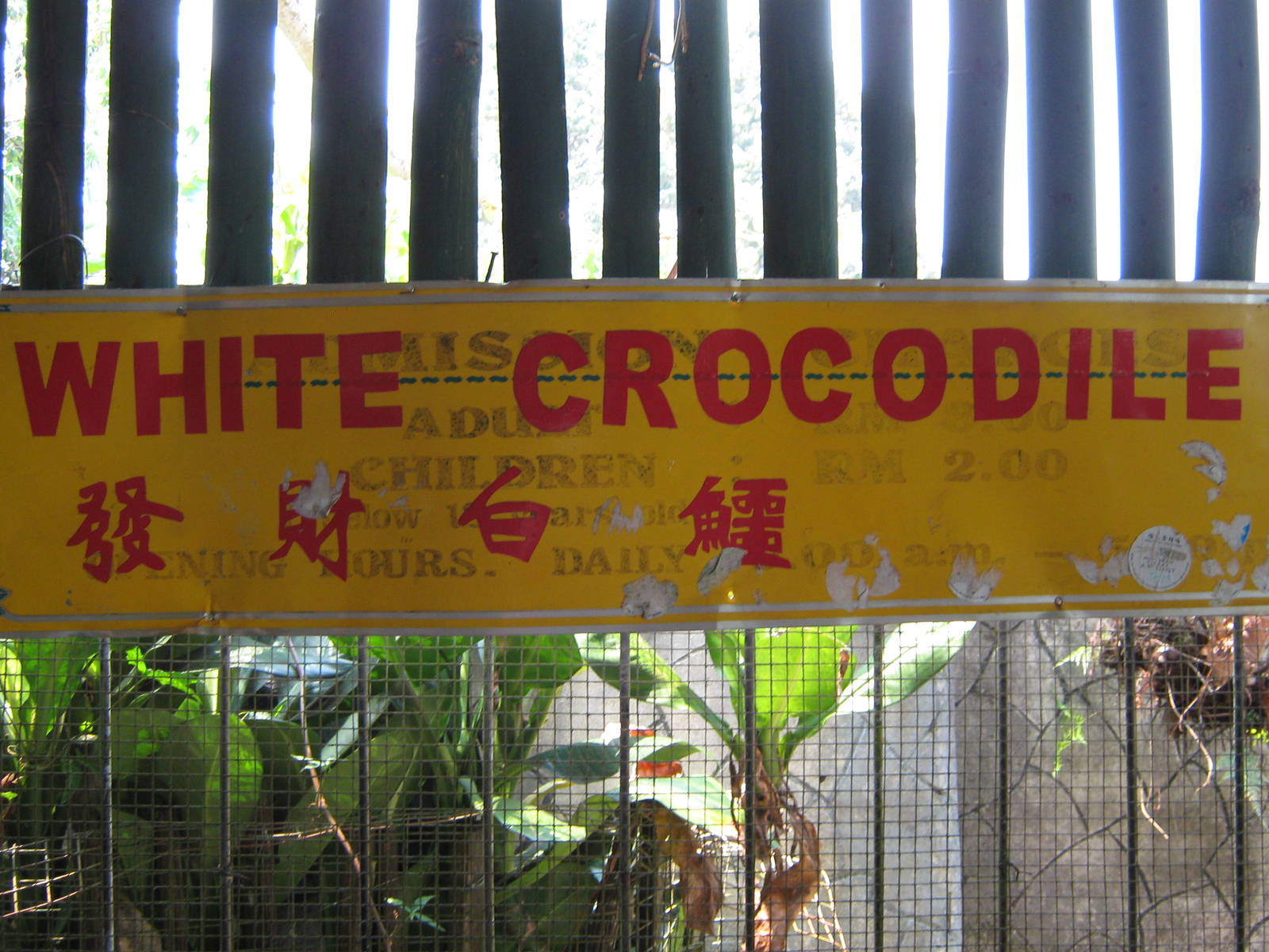 sign for white crocodile
