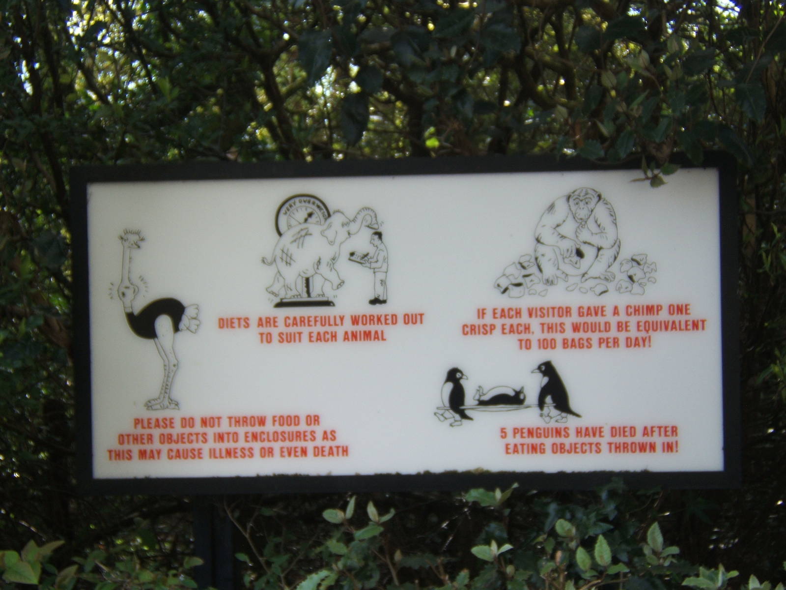 Sign from the opening day of the new zoo still in use today