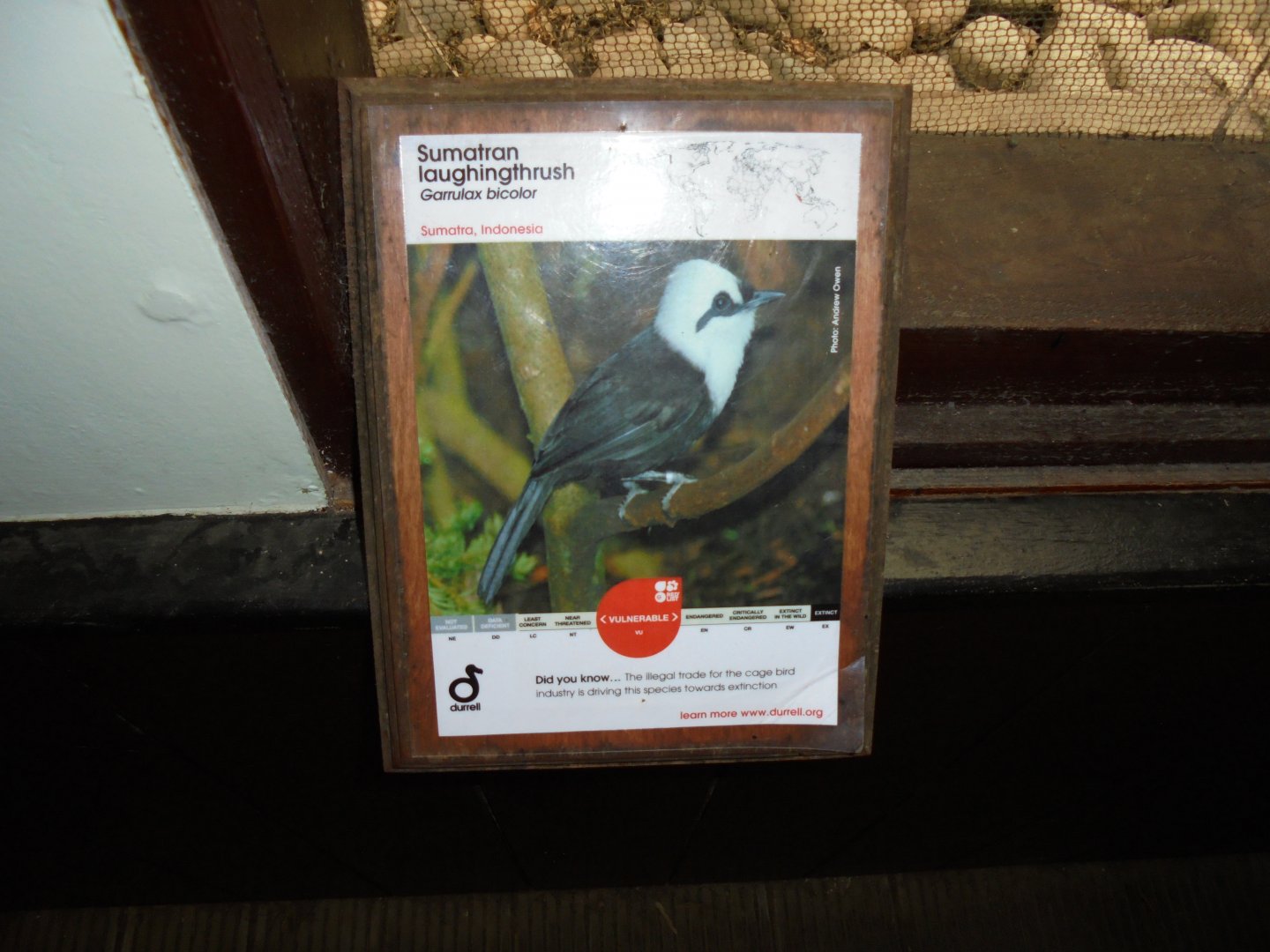 Sign from the Sumatran laughingthrush exhibit