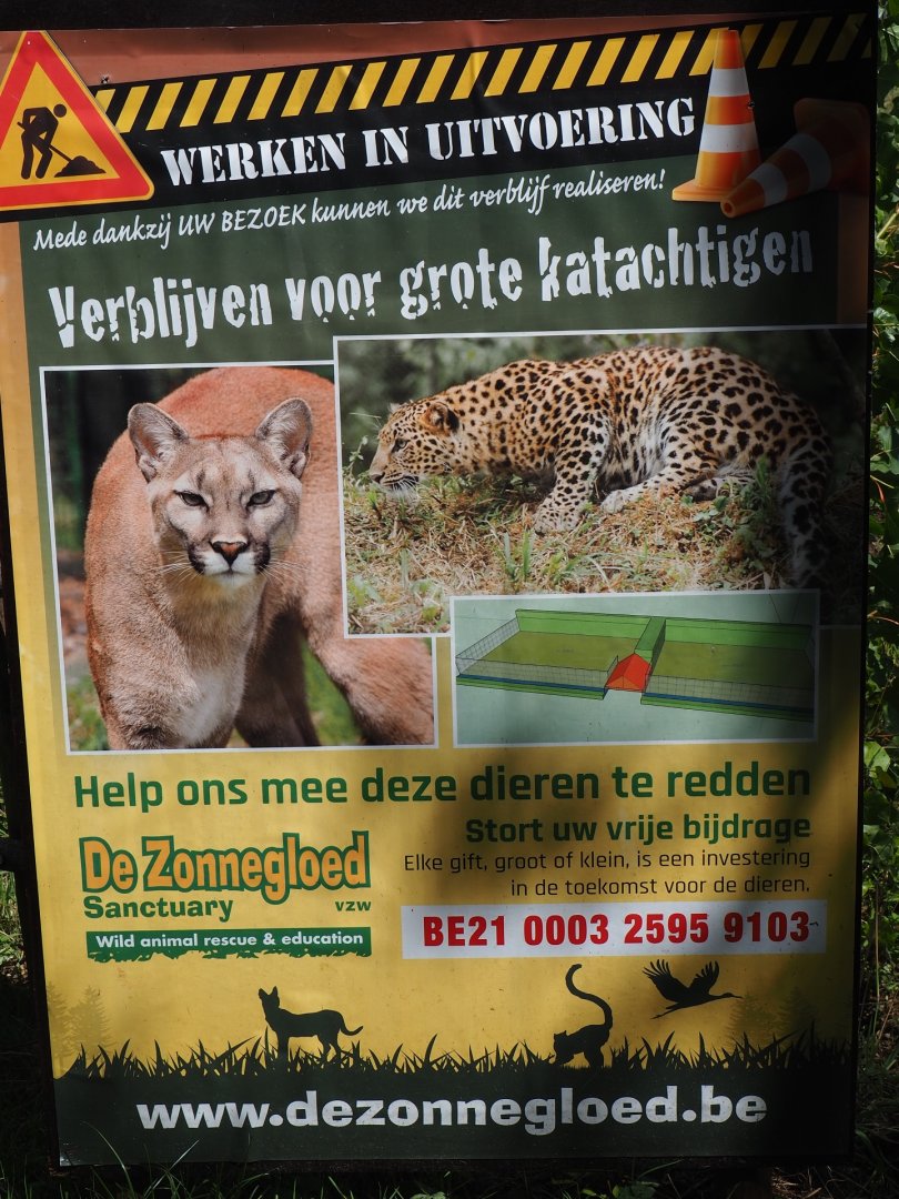 Sign future big cat exhibits