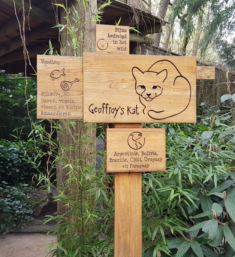 Sign Geoffroy's cat