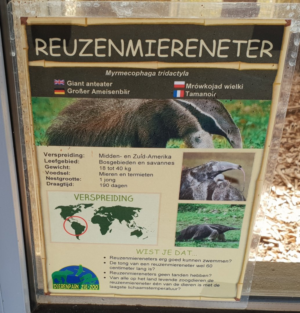 Sign Giant anteater