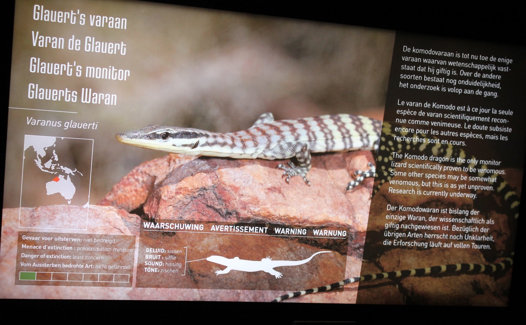 Sign Glauert's monitor