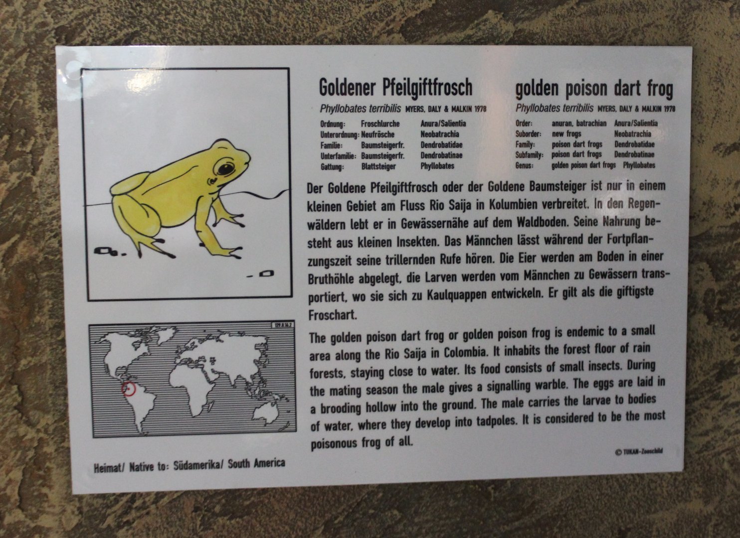 Sign Golden dart frog