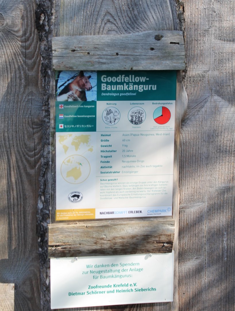 Sign Goodfellow tree kangaroo